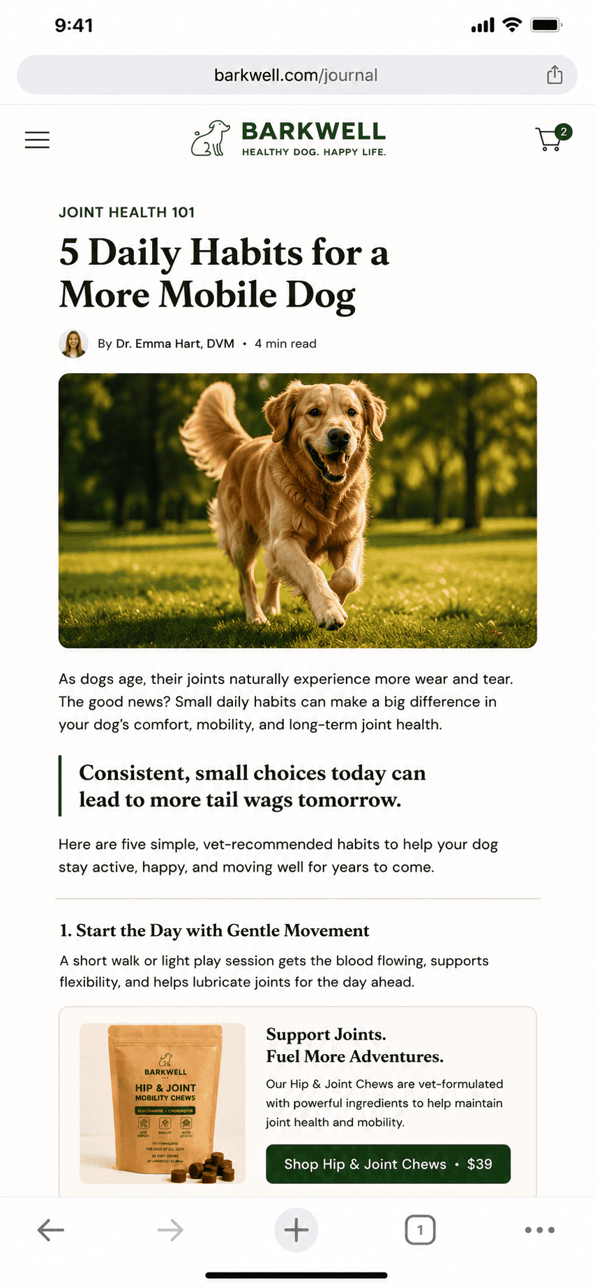 Editorial blog post — Shopify funnel example