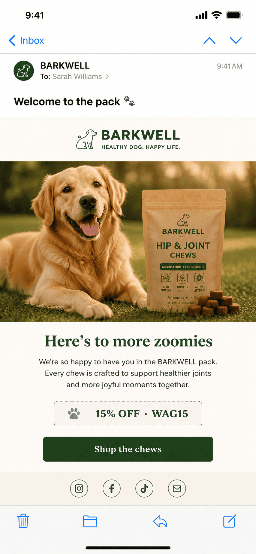 Welcome email series — Shopify funnel example